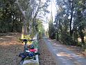 MTBTOSCANA2011  (287)